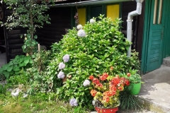 Healing day, 15.08.2020