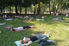 11741225_777419019043769_8166042987815216042_o_800x450